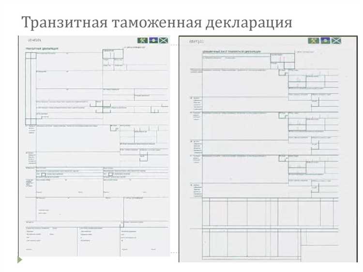 Какие данные указывать в таможенной декларации?